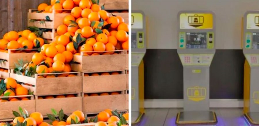 Εφαγαν 30 κιλά πορτοκάλια σε 30 λεπτά για να μην πληρώσουν υπέρβαρο στο αεροπλάνο!