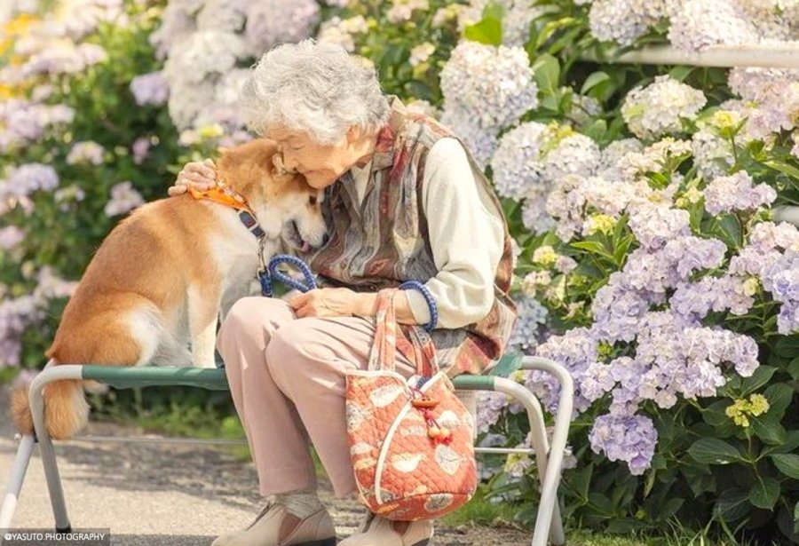 Η τρυφερότητα ενός σκύλου: Φωτογράφος απαθανατίζει τη γιαγιά του με το αγαπημένο της κατοικίδιο