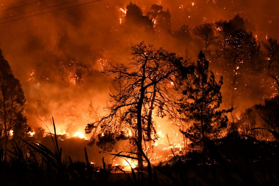 Εκθεση – σοκ που προέβλεψε την καταστροφή από τις πυρκαγιές – Οι 4 ένοχοι για τον Αρμαγεδδώνα