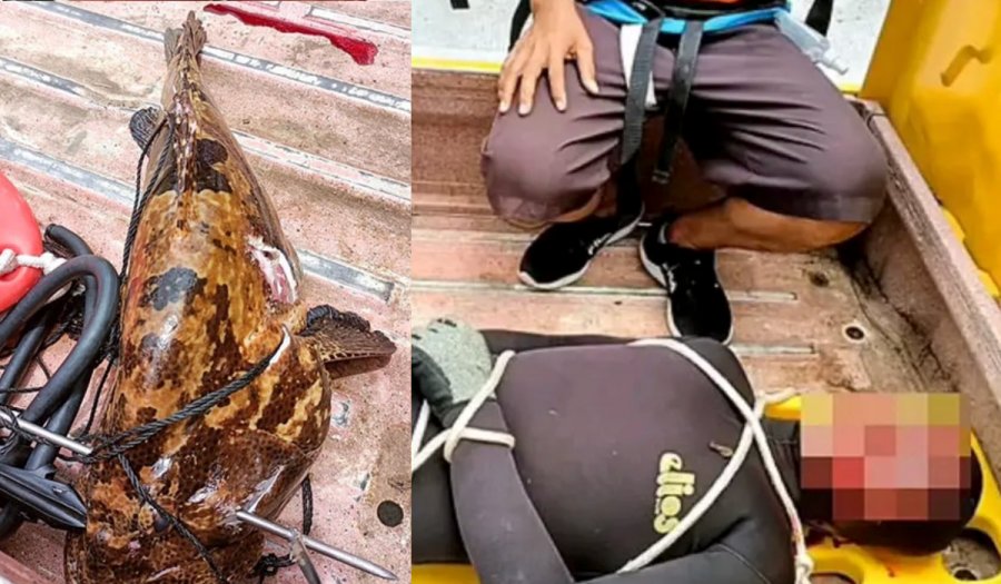 Τραγικό τέλος για 31χρονο ψαροτουφεκά που «παγιδεύτηκε» από μεγάλο ψάρι