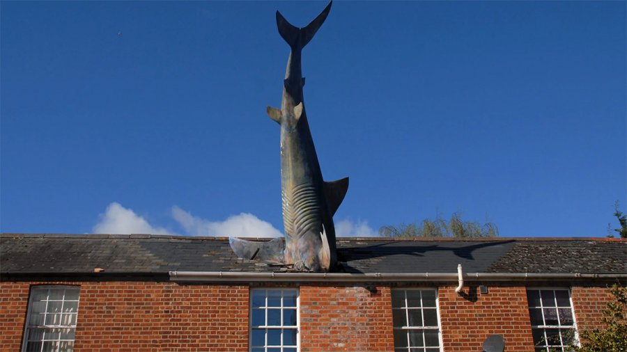 Ο ιπτάμενος λαγός και ο καρφωμένος καρχαρίας σε οροφή σπιτιού – Αυτά είναι τα απίστευτα στιγμιότυπα που έπιασε η κάμερα της Google στους δρόμους