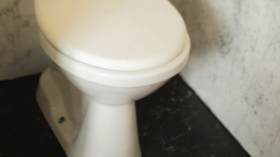 Έρχεται προσεχώς έξυπνο καπάκι τουαλέτας που θα «ελέγχει» την κατάσταση υγείας
