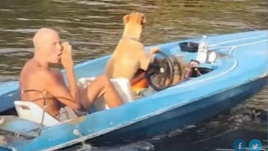 Viral βίντεο: Σκύλος οδηγεί το σκάφος του κηδεμόνα του και τον πηγαίνει βόλτα
