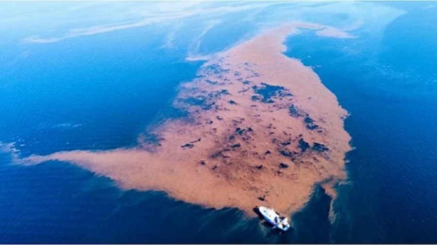 Απίστευτη εικόνα στον Παγασητικό: Δημιουργήθηκε… νησίδα από τα μπάζα της κακοκαιρίας «Daniel»