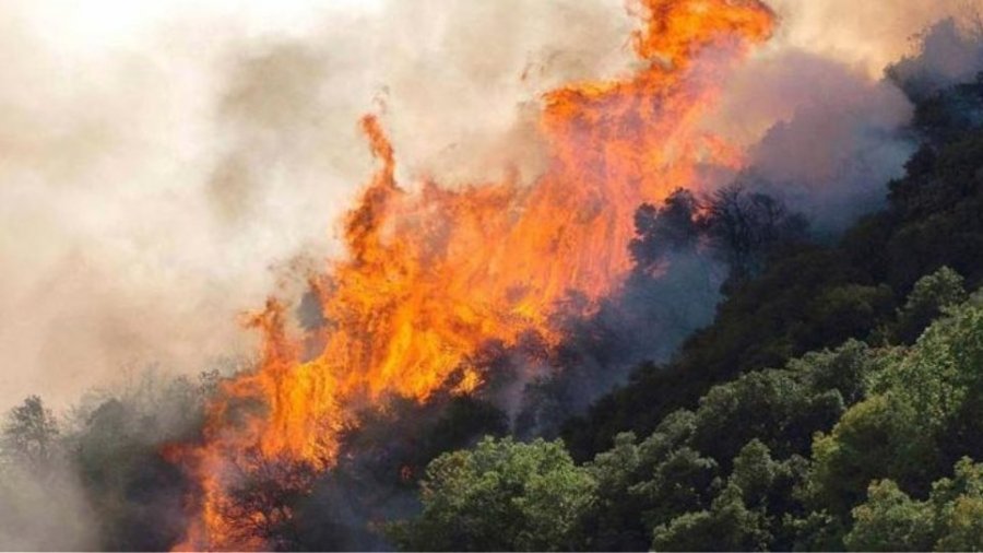 Πρώην αντιδήμαρχος Πολιτικής Προστασίας… εμπρηστής -Δικάζεται για τις φωτιές στα Βίλια το 2021