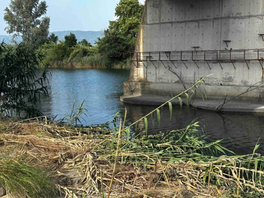 «Μαζί άνοιξαν τα φτερά τους να σώσουν άλλα παιδιά, οι καρδιές δεν έχουν χρώμα» λέει ο διευθυντής της ΜΕΘ για τον 14χρονο και τον 12χρονο που πνίγηκαν στον Άραχθο