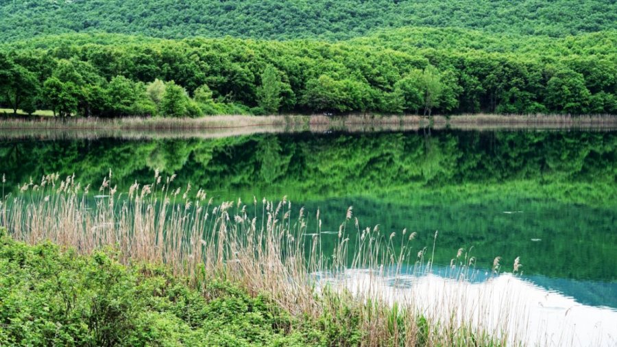 Κι όμως, η πιο απρόσμενη ελληνική παραλία, βρίσκεται στο βουνό! -Καταπράσινο τοπίο, ένα φυσικό θαύμα [βίντεο]