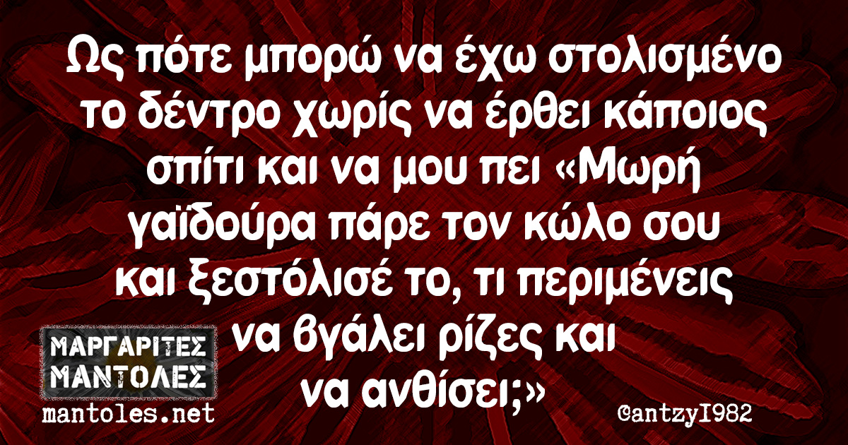 Ως πότε μπορώ να έχω στολισμένο το δέντρο χωρίς να έρθει κάποιος σπίτι και να μου πει «Μωρή γαϊδούρα πάρε τον κώλο σου και ξεστόλισέ το, τι περιμένεις να βγάλει ρίζες και να ανθίσει;»