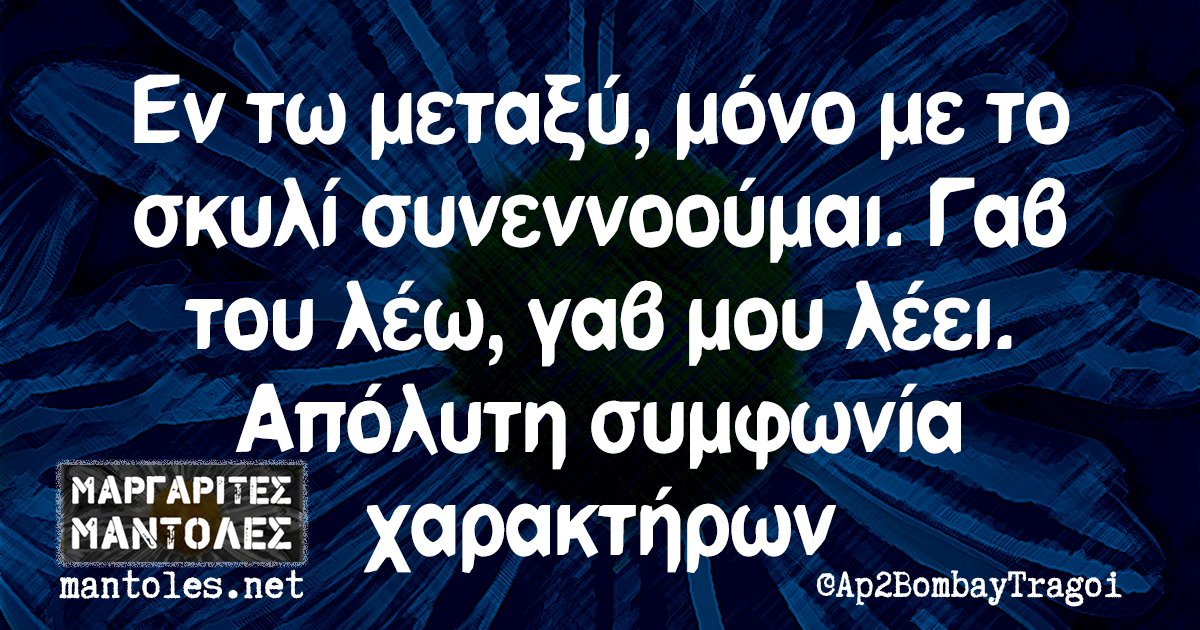 Εν τω μεταξύ, μόνο με το σκυλί συνεννοούμαι. Γαβ του λέω, γαβ μου λέει. Απόλυτη συμφωνία χαρακτήρων